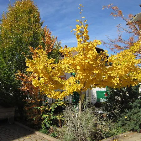 Otel Veronika Kocevje