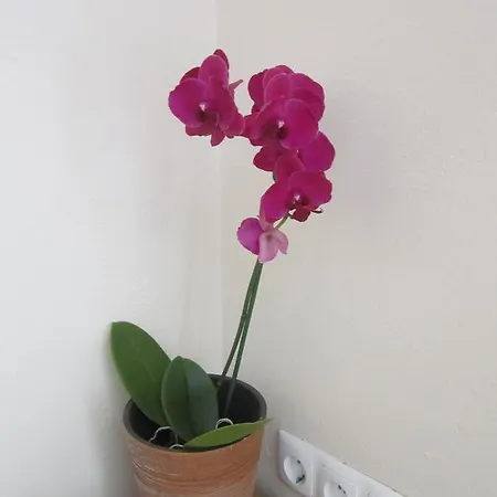 Hotel Veronika Kocevje