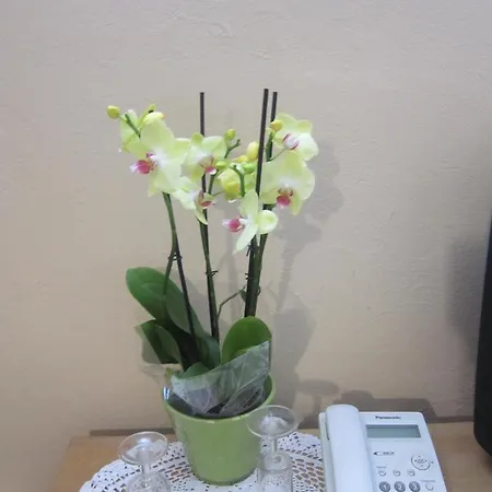 Hotel Veronika 4*