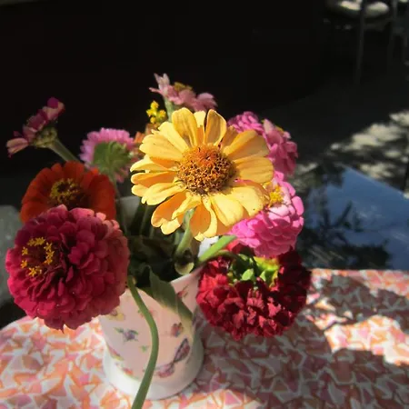 Veronika Otel Kocevje