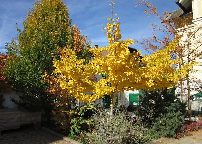 Hotel Veronika Kocevje