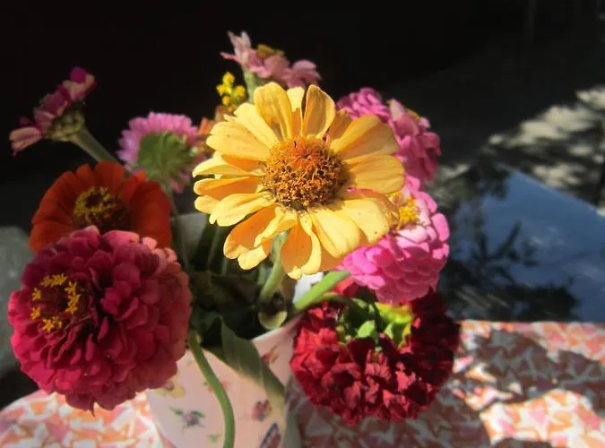 Veronika Hotel Kocevje