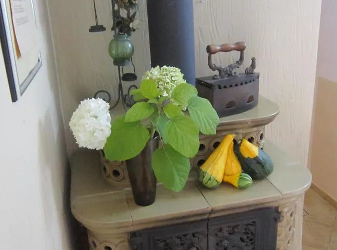 Hotel Veronika Kocevje